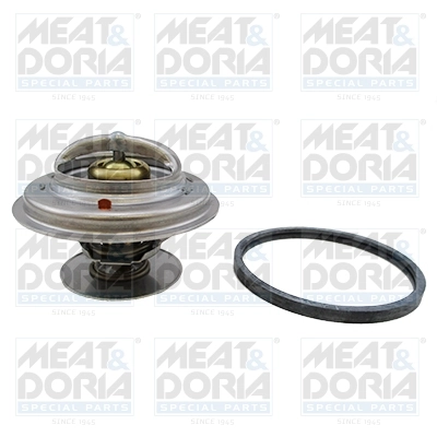 Thermostat, coolant